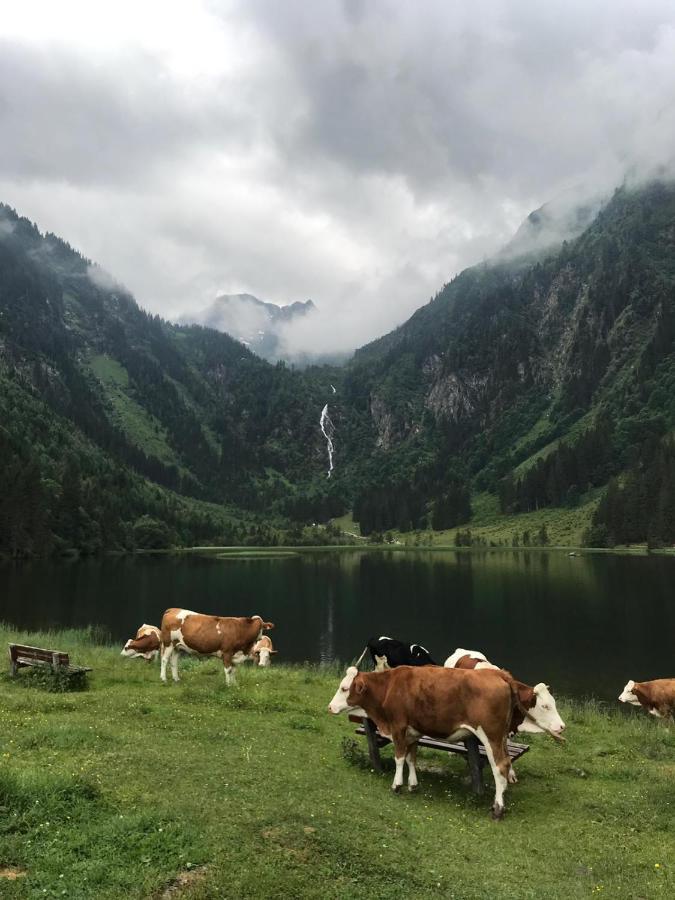 Appartement Doeringerhof Aich  Dış mekan fotoğraf